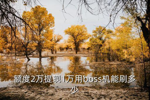 boss機(jī)怎么套現(xiàn)，額度2萬(wàn)提現(xiàn)1萬(wàn)用boss機(jī)能刷多少