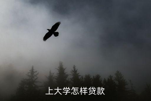上大學(xué)怎樣貸款