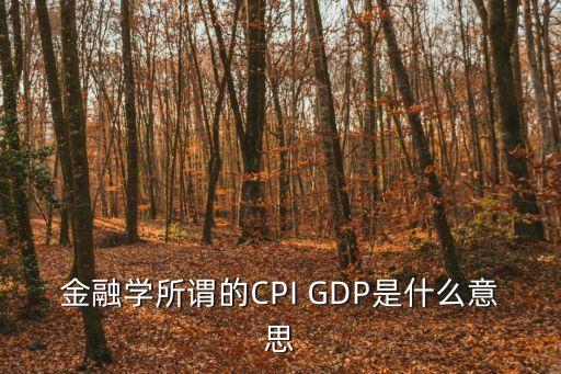 金融學(xué)所謂的CPI GDP是什么意思