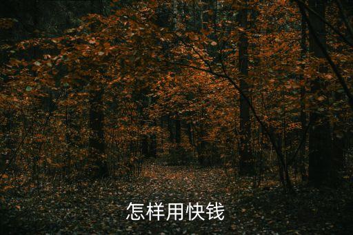 怎樣用快錢