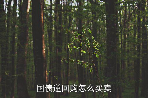 國(guó)債逆回購(gòu)怎么買賣