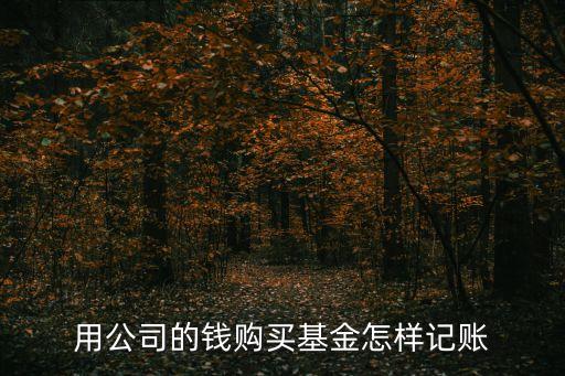用公司的錢購買基金怎樣記賬