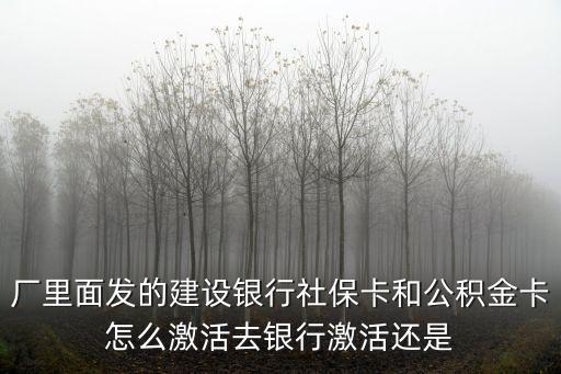 廠里面發(fā)的建設(shè)銀行社?？ê凸e金卡怎么激活去銀行激活還是