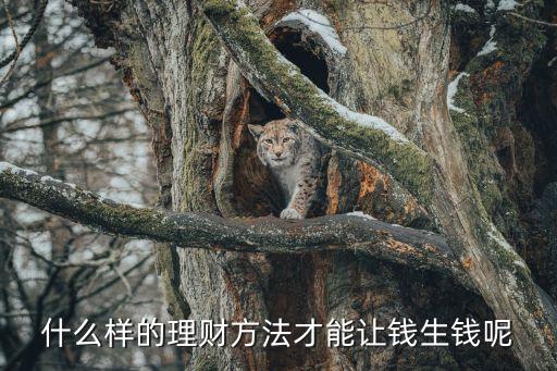 2016怎么投資讓錢生錢呢，如何理財能讓錢生錢