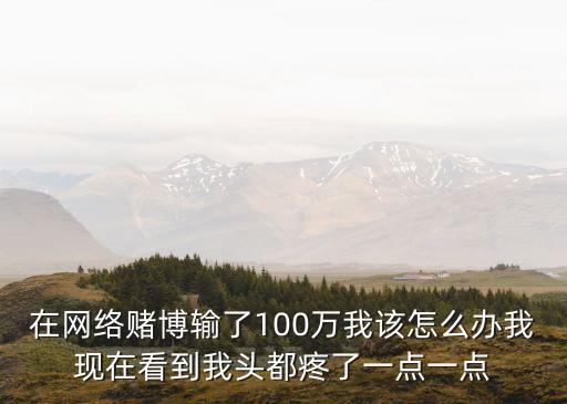虧了100多萬怎么辦，如果我做一些灰色的項(xiàng)目虧了100萬我該怎么辦