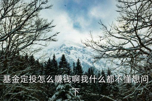 基金定投怎么賺錢啊我什么都不懂想問下