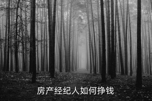 新房經(jīng)紀(jì)人怎么賺錢，房產(chǎn)中介是如何賺取利潤的