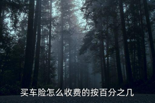 買車險怎么收費(fèi)的按百分之幾