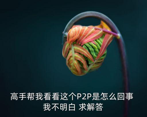 百度云p2p怎么這么惡心，高手幫我看看這個P2P是怎么回事 我不明白 求解答