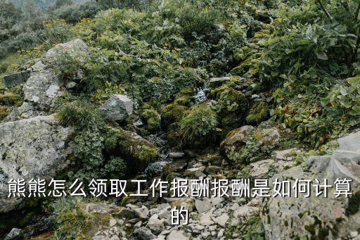 熊貓金庫 津貼怎么算，熊熊怎么領(lǐng)取工作報(bào)酬報(bào)酬是如何計(jì)算的