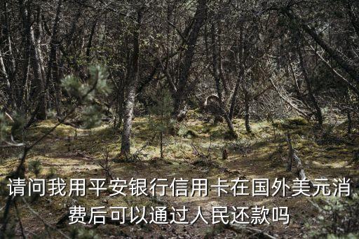 請(qǐng)問(wèn)我用平安銀行信用卡在國(guó)外美元消費(fèi)后可以通過(guò)人民還款嗎