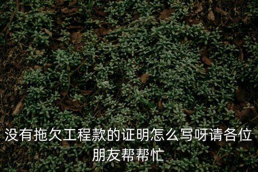 沒(méi)有拖欠工程款的證明怎么寫呀請(qǐng)各位朋友幫幫忙