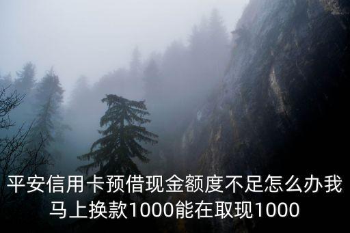 預(yù)借現(xiàn)金額度怎么恢復(fù)，平安信用卡預(yù)借現(xiàn)金額度不足怎么辦我馬上換款1000能在取現(xiàn)1000
