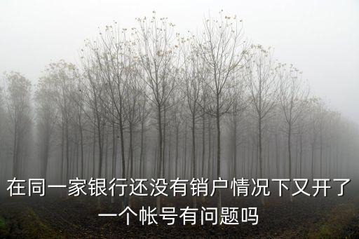 在同一家銀行還沒(méi)有銷戶情況下又開(kāi)了一個(gè)帳號(hào)有問(wèn)題嗎