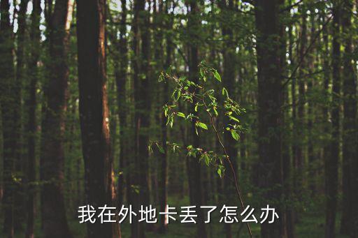 我在外地卡丟了怎么辦