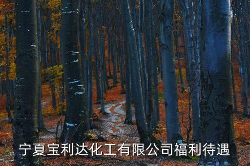 寧夏寶利達化工有限公司福利待遇