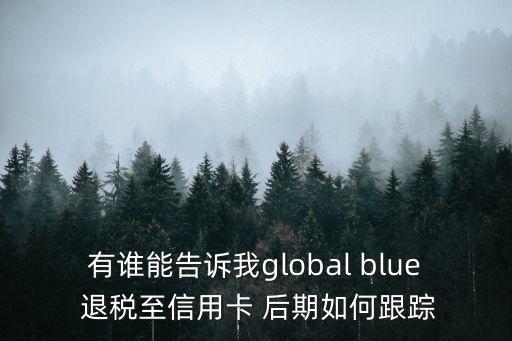 有誰(shuí)能告訴我global blue 退稅至信用卡 后期如何跟蹤