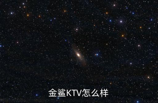 金鯊KTV怎么樣