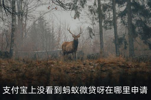 螞蟻微貸口子怎么弄，支付寶上沒看到螞蟻微貸呀在哪里申請(qǐng)
