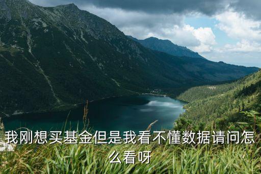 怎么看懂基金表，誰來教教我基金表怎么看
