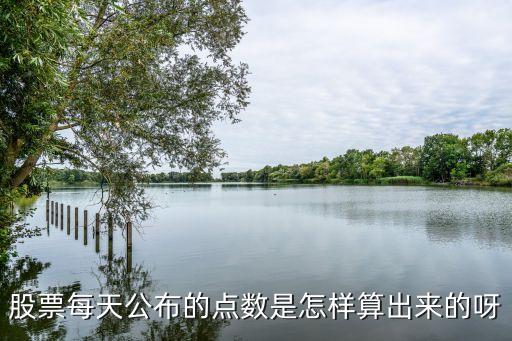 股市點(diǎn)數(shù) 是怎么計(jì)算出來的，股市的點(diǎn)是怎么算的謝謝