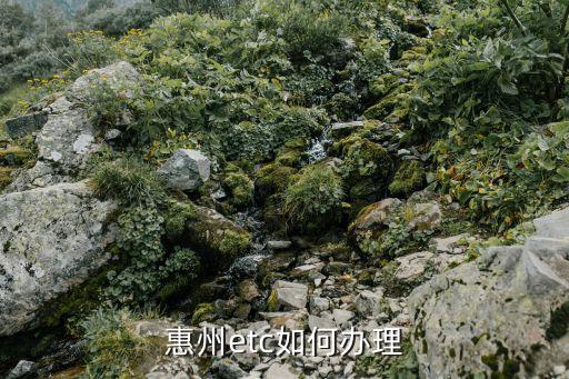 惠州etc如何辦理