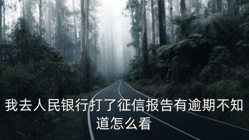 我去人民銀行打了征信報(bào)告有逾期不知道怎么看