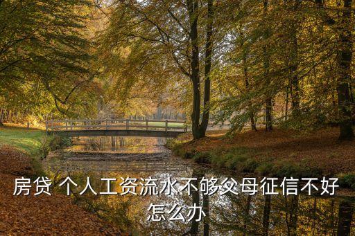 房貸 個(gè)人工資流水不夠父母征信不好怎么辦