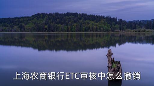 農(nóng)行etc怎么取消，上海農(nóng)商銀行ETC審核中怎么撤銷