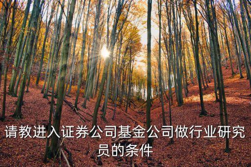 請(qǐng)教進(jìn)入證券公司基金公司做行業(yè)研究員的條件