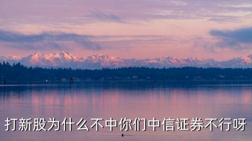 打新股為什么不中你們中信證券不行呀