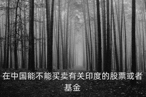 在中國能不能買賣有關(guān)印度的股票或者基金