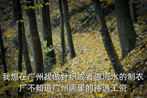 我想在廣州找做針織或者做流水的制衣廠不知道廣州哪里的待遇工資