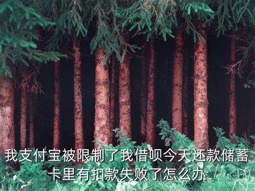 我支付寶被限制了我借唄今天還款儲(chǔ)蓄卡里有扣款失敗了怎么辦