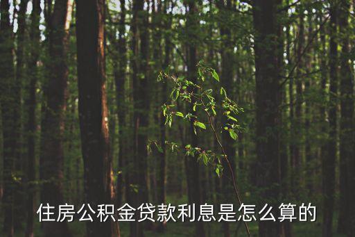 住房公積金貸款利息是怎么算的