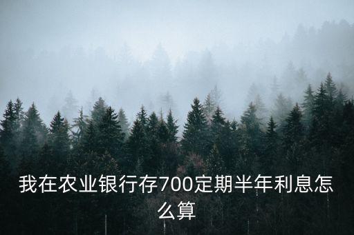 我在農(nóng)業(yè)銀行存700定期半年利息怎么算