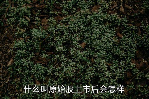 什么叫原始股上市后會(huì)怎樣