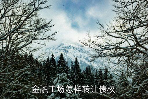 金融工場(chǎng)回款中怎么轉(zhuǎn)讓，要怎么通過(guò)金融工場(chǎng)的債權(quán)轉(zhuǎn)讓來(lái)掙錢呢