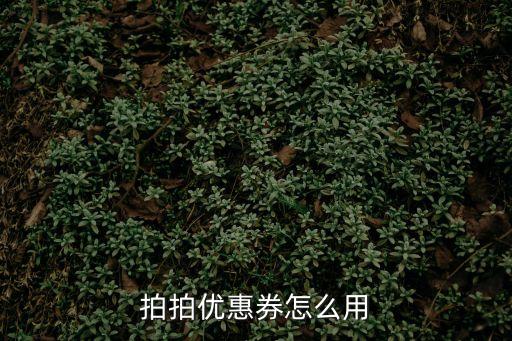 拍拍優(yōu)惠券怎么用，拍拍優(yōu)惠卷怎么使用