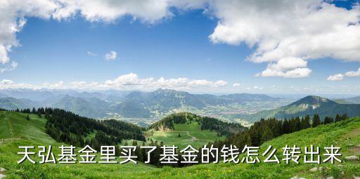 天弘基金怎么轉出來，我把銀行卡的錢轉到天弘基金怎么樣才可以陣出來