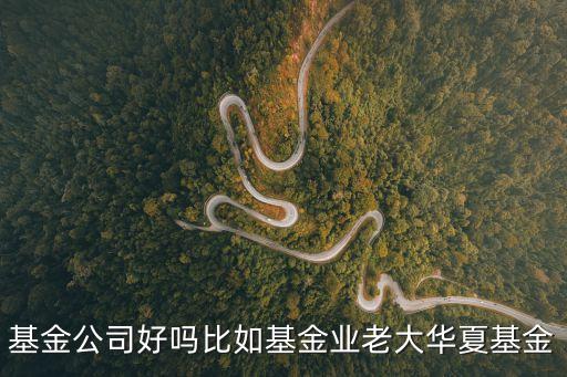 基金公司好嗎比如基金業(yè)老大華夏基金