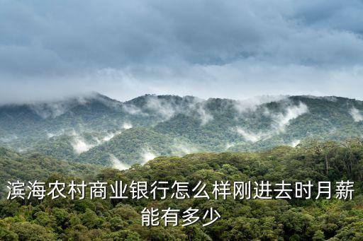 濱海農(nóng)村商業(yè)銀行怎么樣剛進去時月薪能有多少
