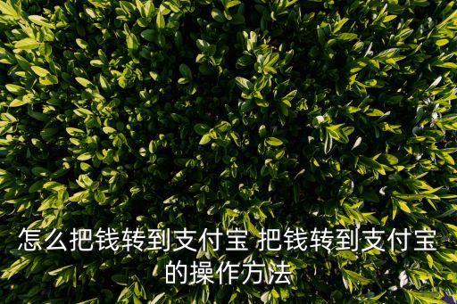 怎么樣把錢存入支付寶，怎么把錢轉(zhuǎn)到支付寶 把錢轉(zhuǎn)到支付寶的操作方法
