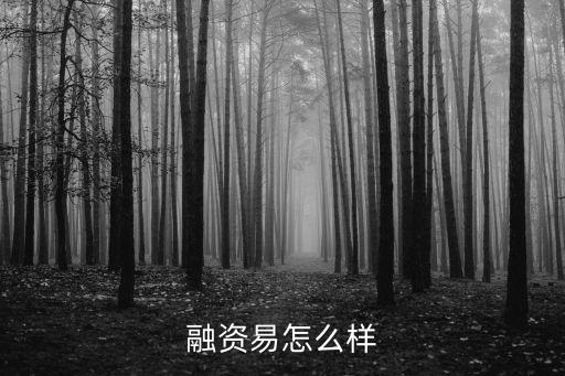 融資易怎么樣