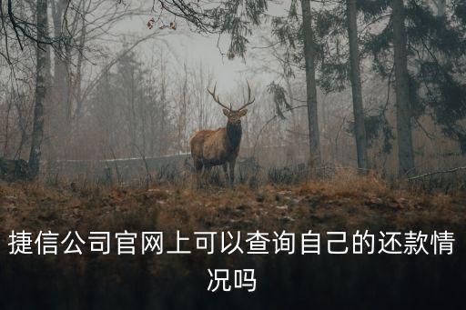怎么查我欠捷信多少錢，捷信怎么查是否逾期