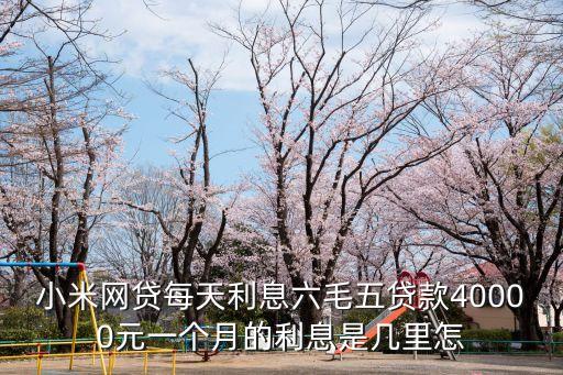 小米網(wǎng)貸每天利息六毛五貸款40000元一個(gè)月的利息是幾里怎