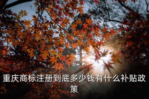 重慶標(biāo)一投資怎么樣，投一投怎么樣