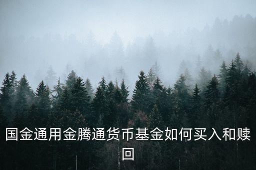 國金通用金騰通貨幣怎么買，國金通用金騰通貨幣怎樣買