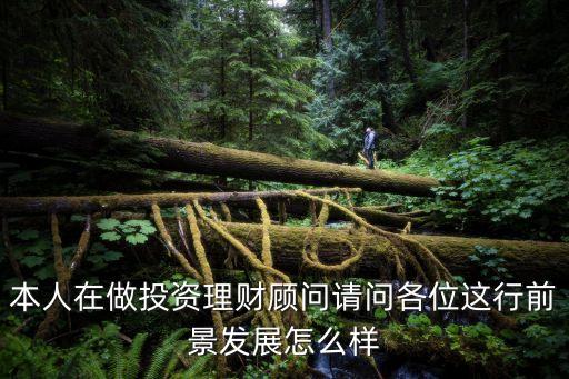 本人在做投資理財(cái)顧問(wèn)請(qǐng)問(wèn)各位這行前景發(fā)展怎么樣