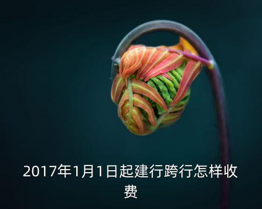 2017年1月1日起建行跨行怎樣收費